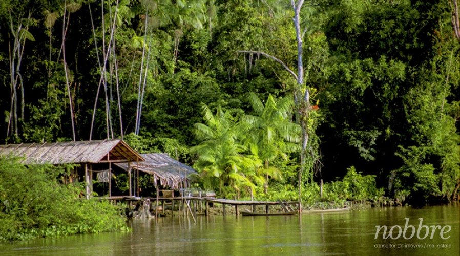 Fazenda vender no Amazonas. Presidente Figueiredo